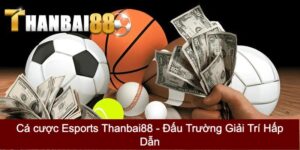 Cá cược Esports Thanbai88